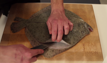 Filiranje ploščate ribe