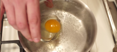 Posiranje jajc